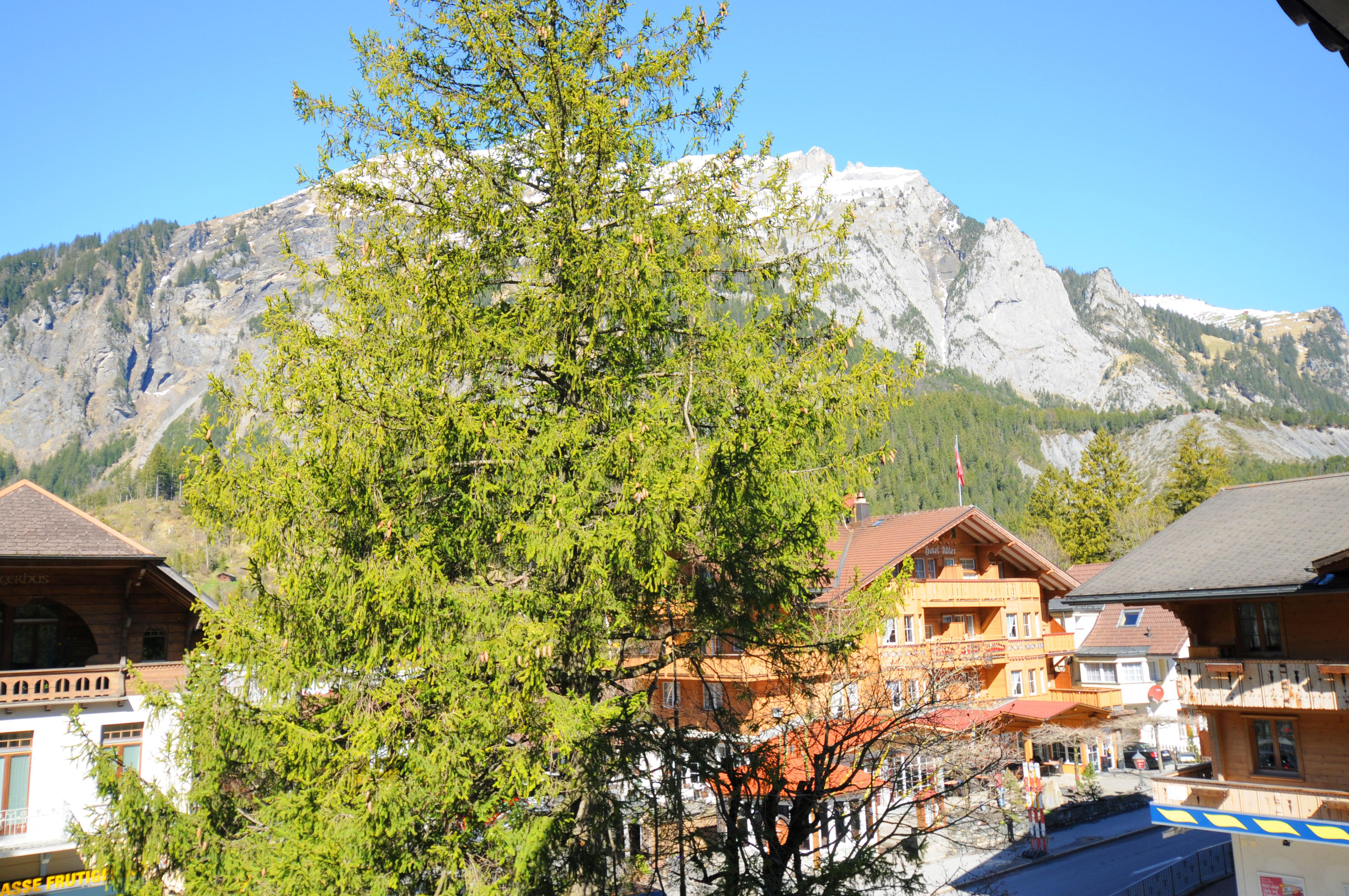 Belle Epoque Hotel Victoria & Apartments Kandersteg Exterior photo